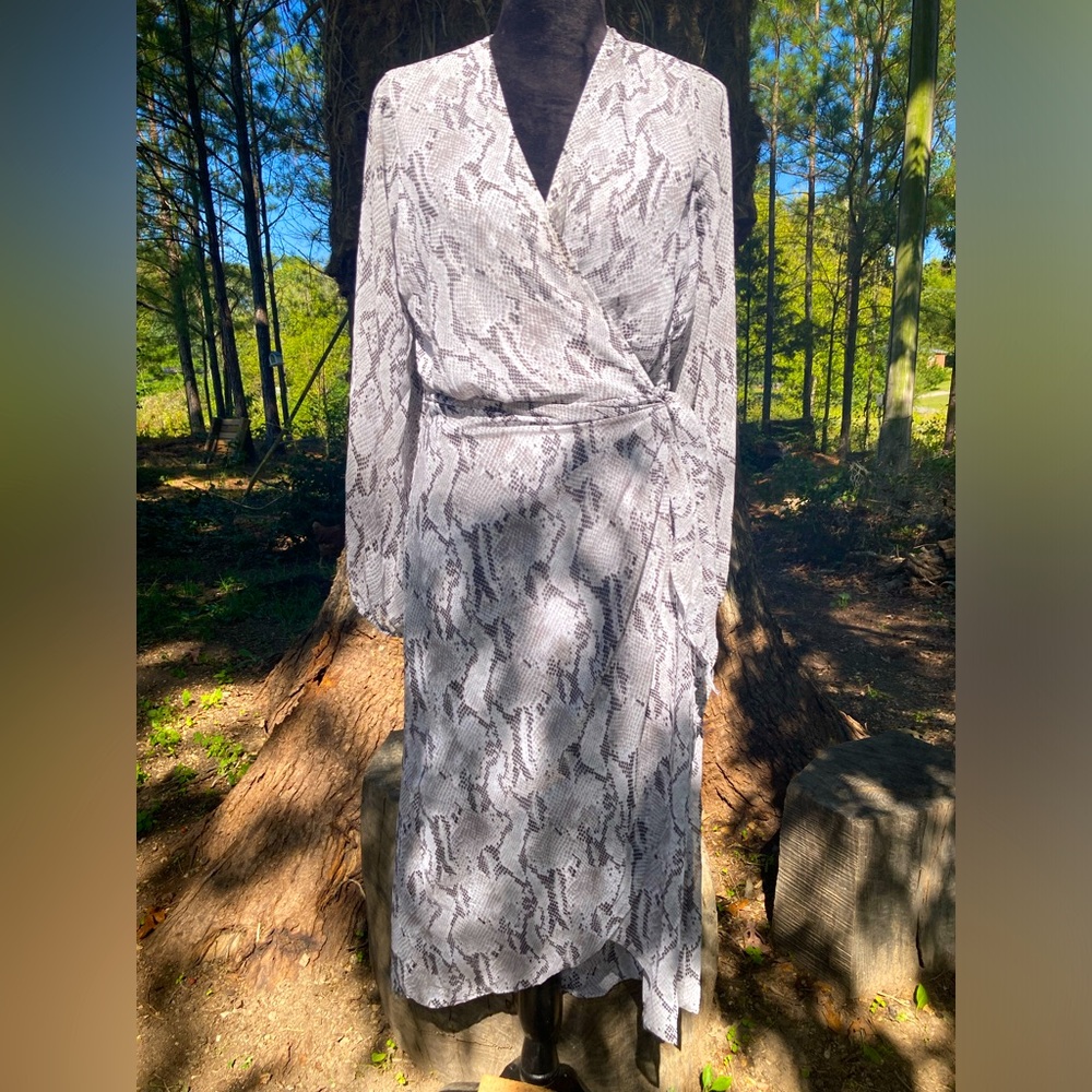 EXPRESS Dress